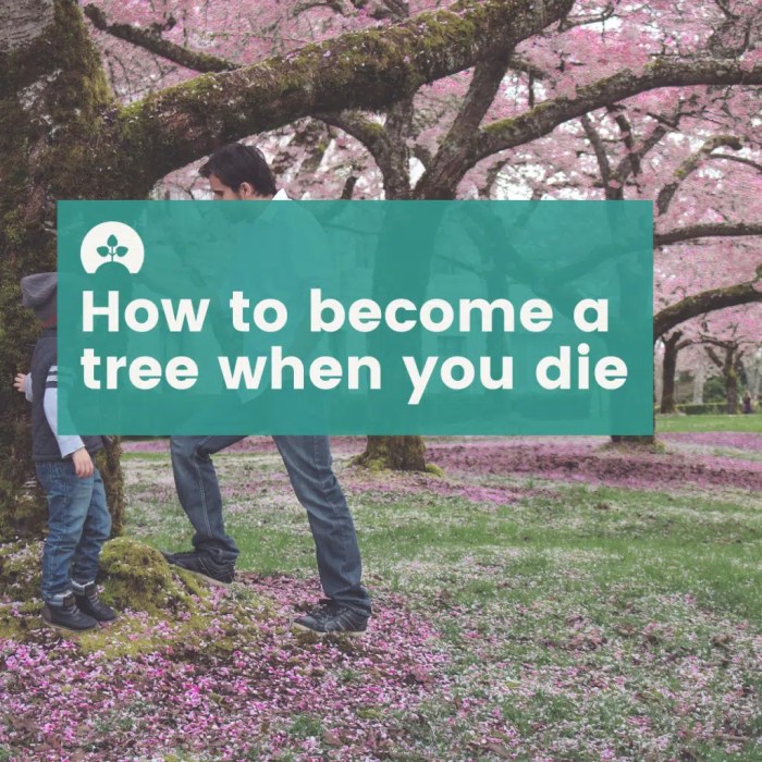 How to discuss death with children