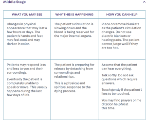 What happens during the dying process