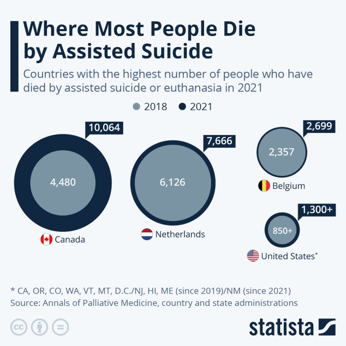Euthanasia assisted dying future open simply form another Understanding euthanasia and assisted death