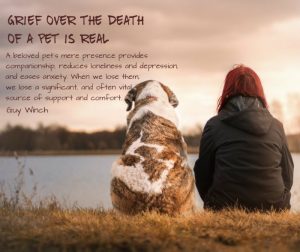 Grieving the death of a pet