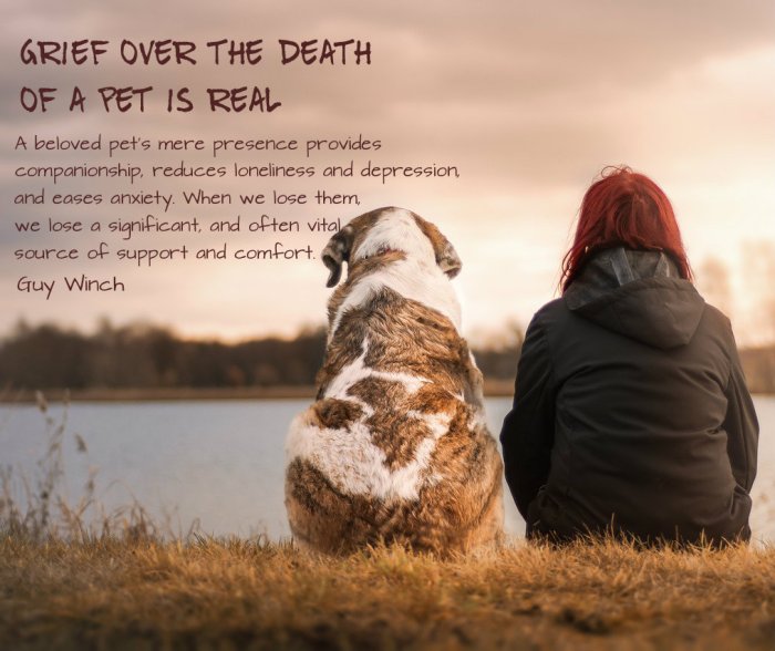Grieving the death of a pet
